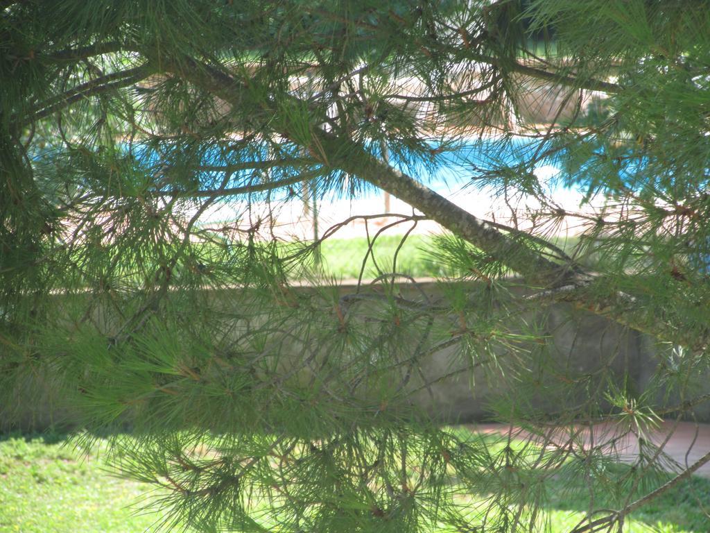 Azienda Agrituristica Allumiere Villa Campiglia Marittima Dış mekan fotoğraf