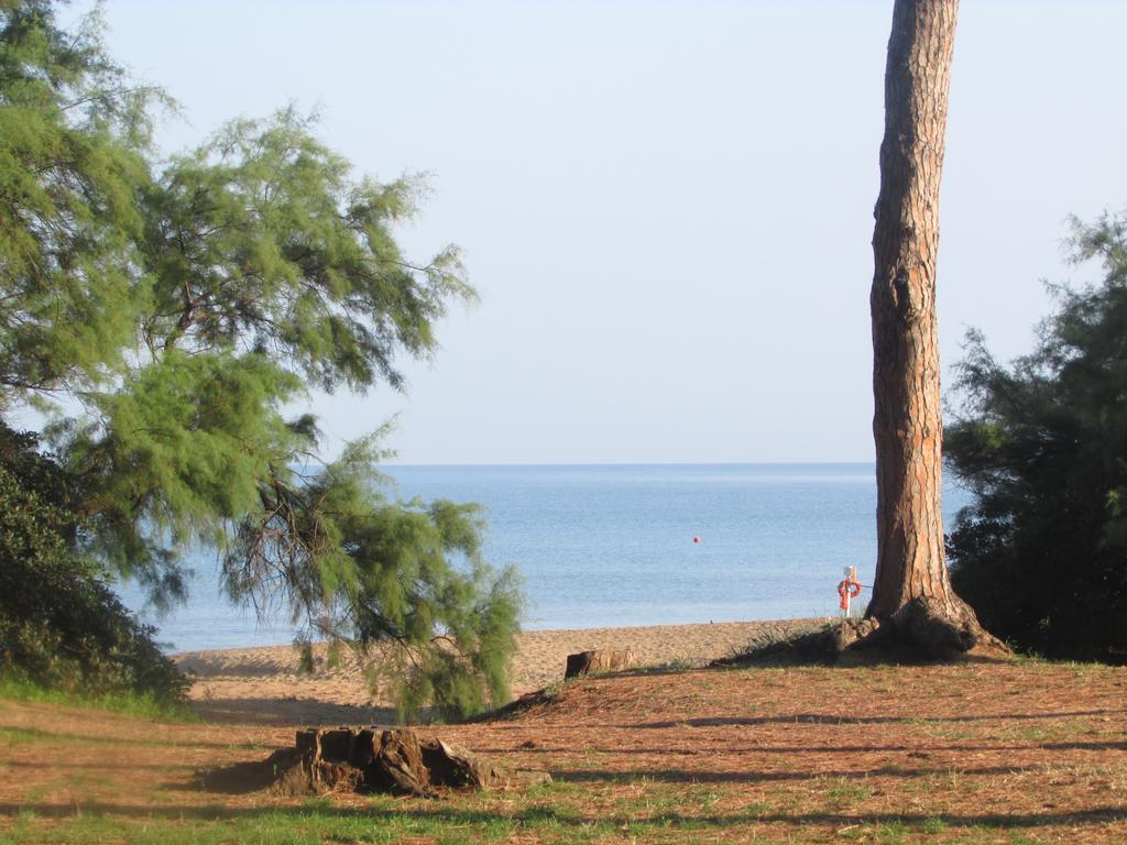 Azienda Agrituristica Allumiere Villa Campiglia Marittima Dış mekan fotoğraf