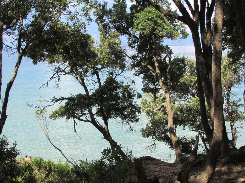 Azienda Agrituristica Allumiere Villa Campiglia Marittima Dış mekan fotoğraf