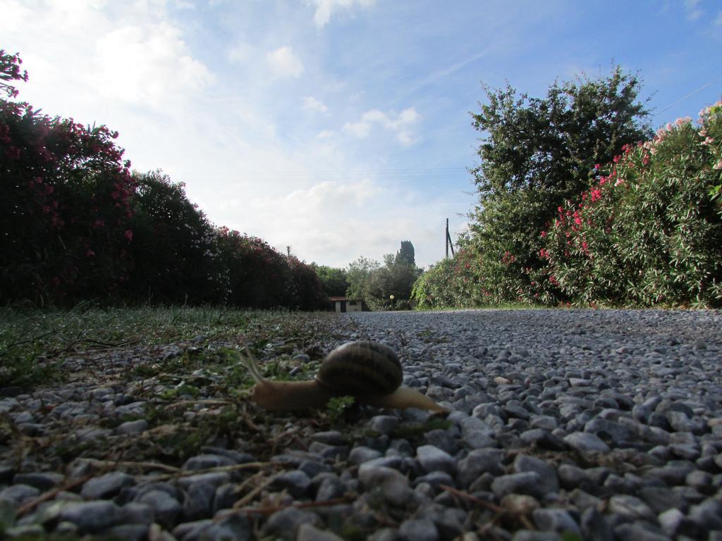 Azienda Agrituristica Allumiere Villa Campiglia Marittima Dış mekan fotoğraf