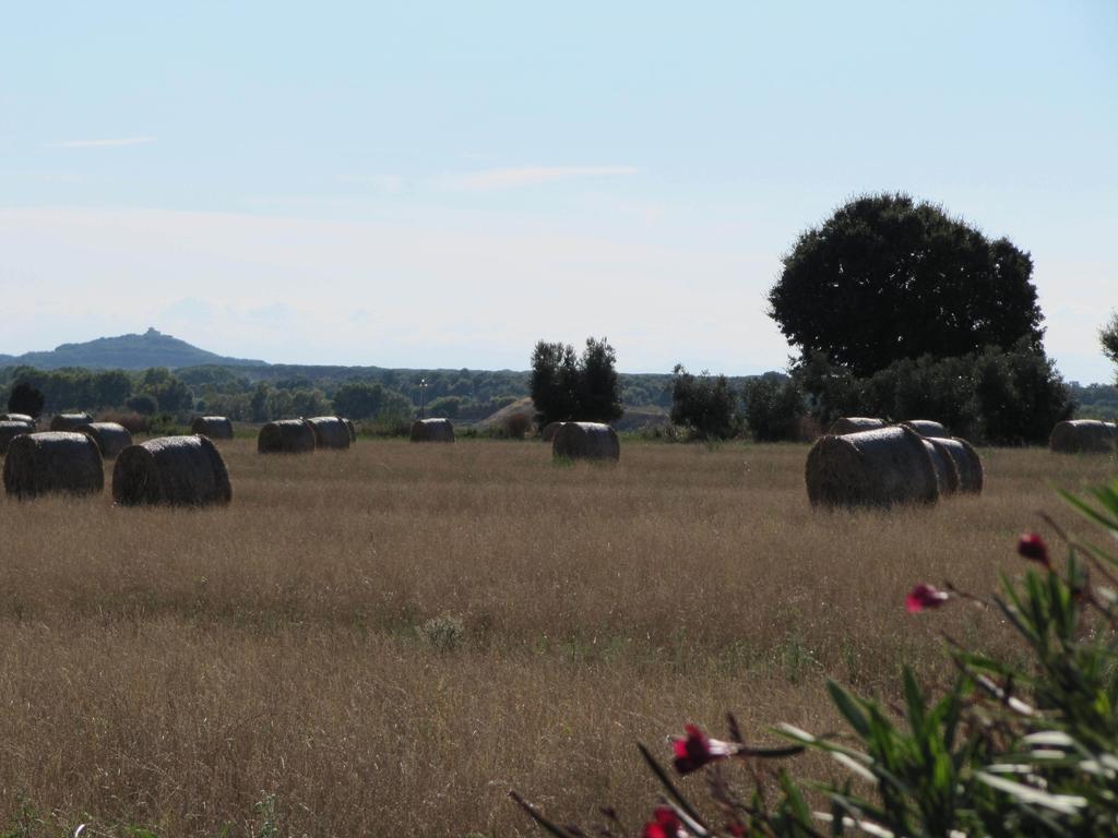 Azienda Agrituristica Allumiere Villa Campiglia Marittima Dış mekan fotoğraf