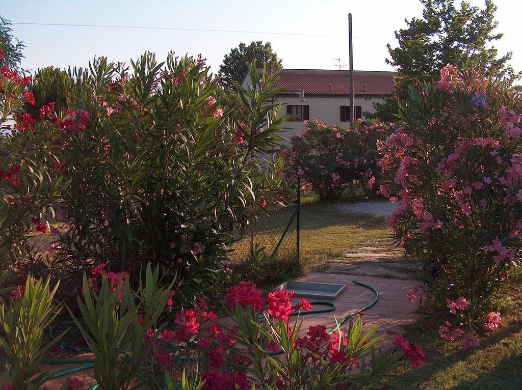 Azienda Agrituristica Allumiere Villa Campiglia Marittima Dış mekan fotoğraf