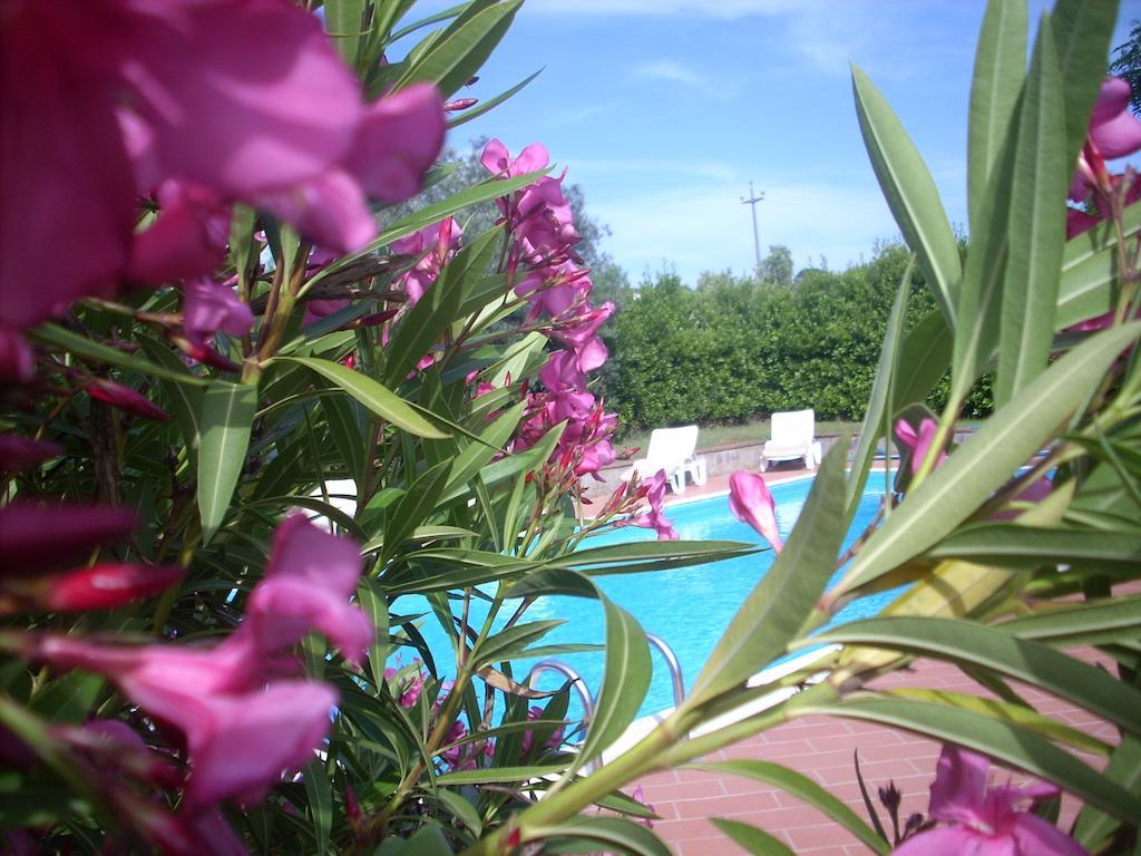 Azienda Agrituristica Allumiere Villa Campiglia Marittima Dış mekan fotoğraf